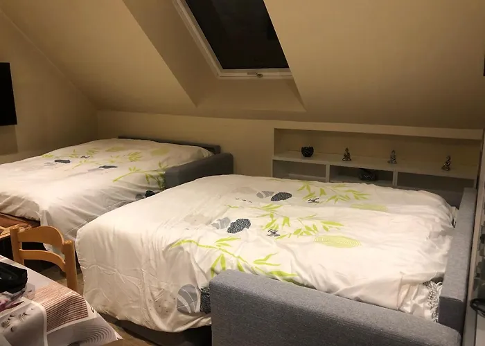 Logement @ 10 Personnes Avec Piscine Interieure 31 Degres Zoo De La Fleche 24 H Du Mans